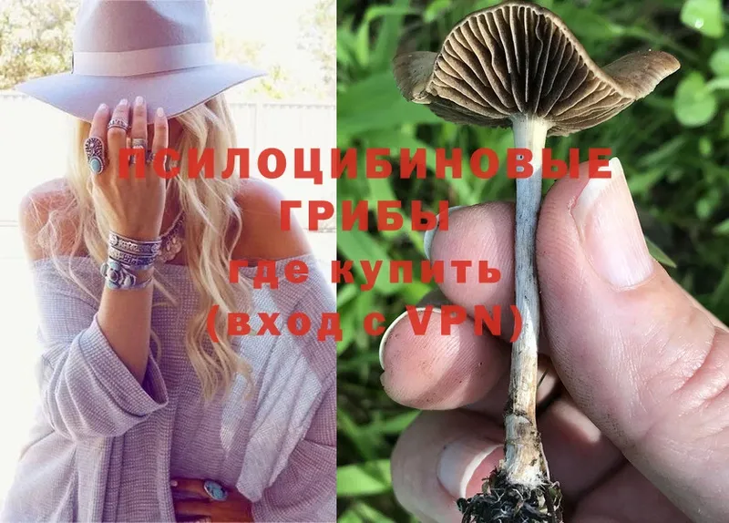 Псилоцибиновые грибы MAGIC MUSHROOMS  Починок 